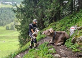 Erster Wanderurlaub mit Baby im Appenzellerland